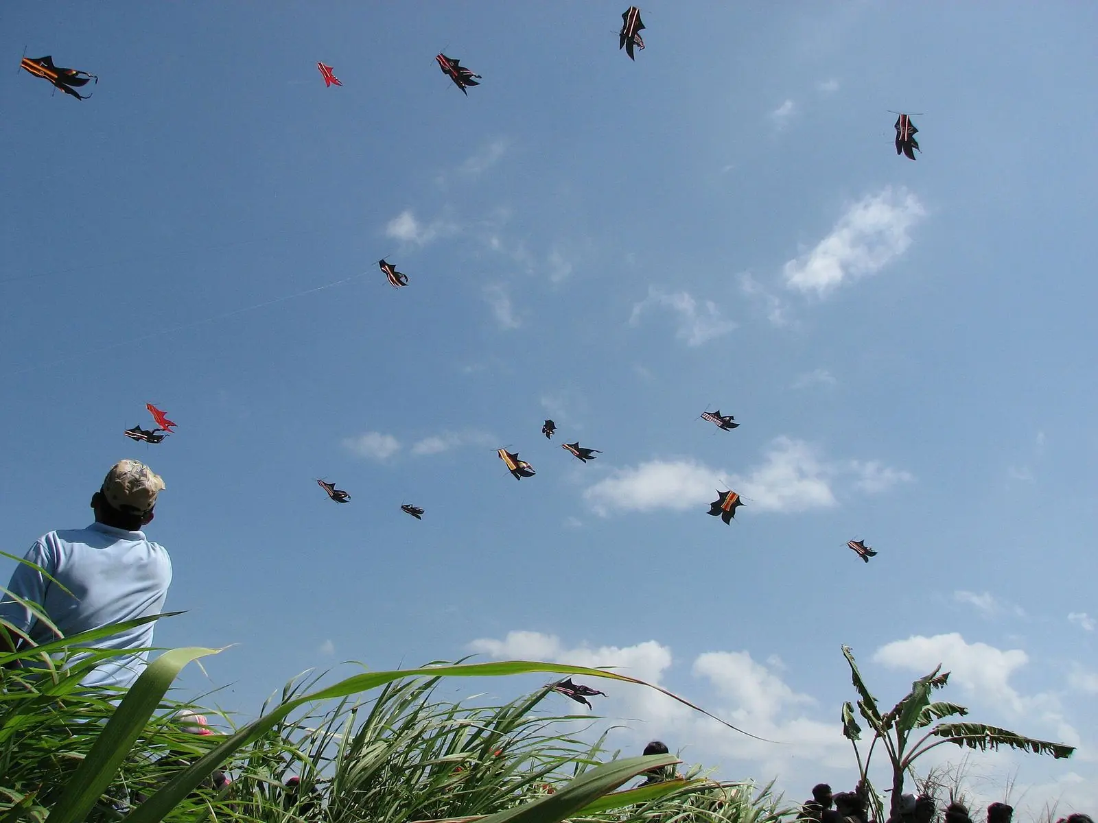 Traditional kites flying at a kite festival in Bali